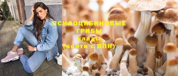 МДПВ Магадан