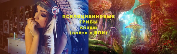 МДПВ Магадан
