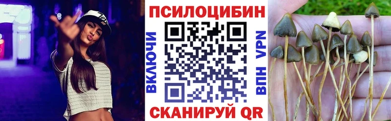 даркнет сайт  Юрюзань  Галлюциногенные грибы мухоморы 
