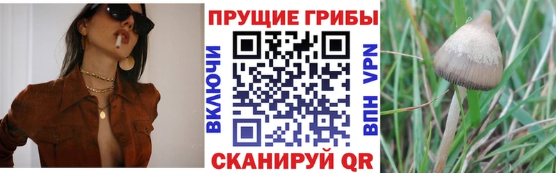 Псилоцибиновые грибы MAGIC MUSHROOMS Юрюзань